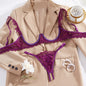 Pure Desire To See Through Lace And Purple Sexy Bra Set