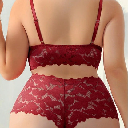 Lace Figure-hugging Bra Set With A Sheer Designseductive Sleepwear And Lingerie