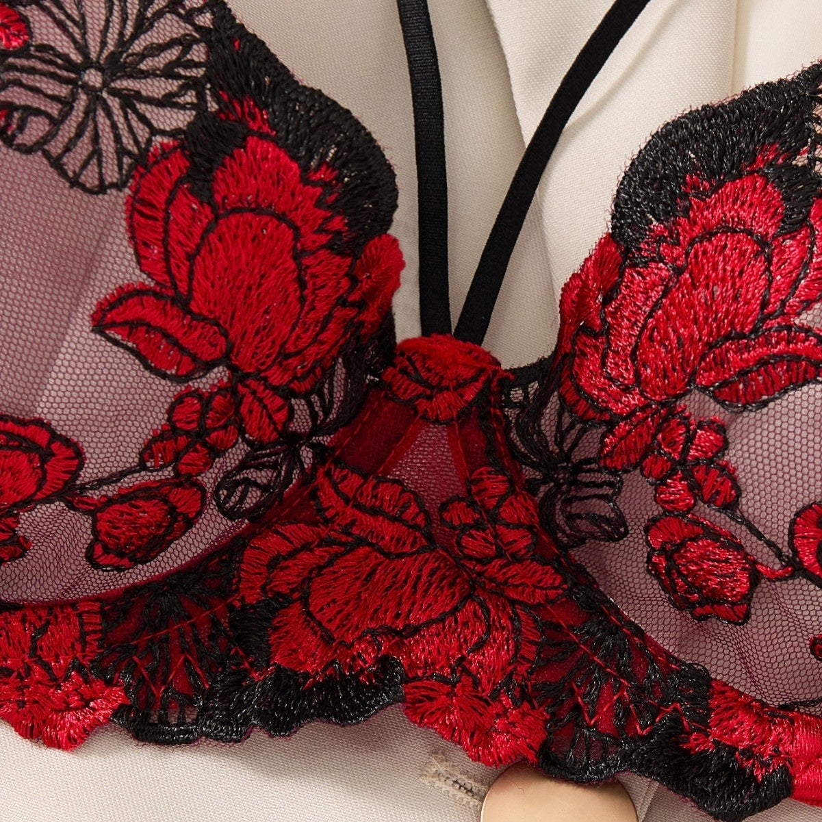 Sexy Sheer Embroidered Bra Set