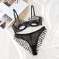 Embroidered Lace Mesh Bra Set